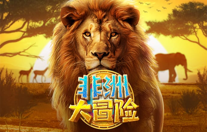 s8sp加密路线入口官网链接